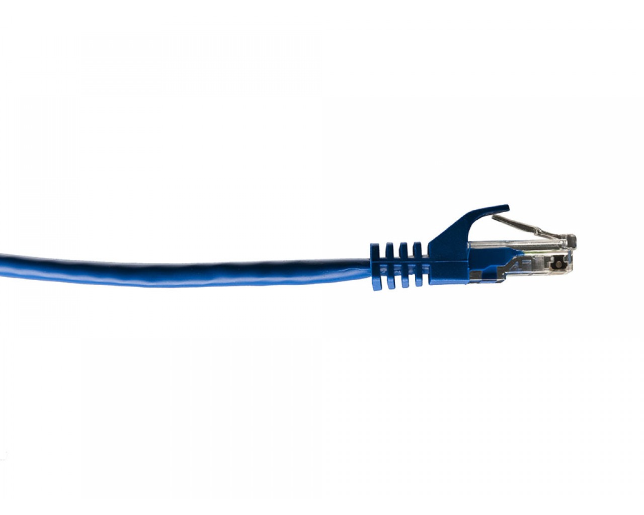2 ft. Cat. 5E Patch Cord, Blue New World Inc.
