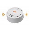 Access Point Ceiling Mount, POE,  IEEE 802-11n, 300 Mbps
