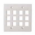 12 Port Flush Plate, Double Gang, NWT Design, White 
