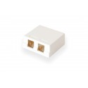 2 Port Surface Mount Box 