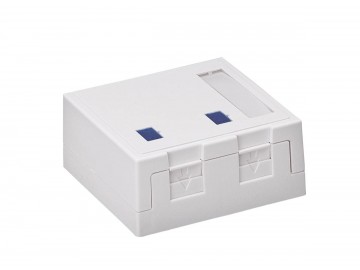 2 Port Surface Mount Box w/door