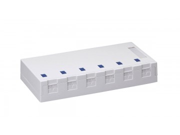 6 Port Surface Mount Box w/door